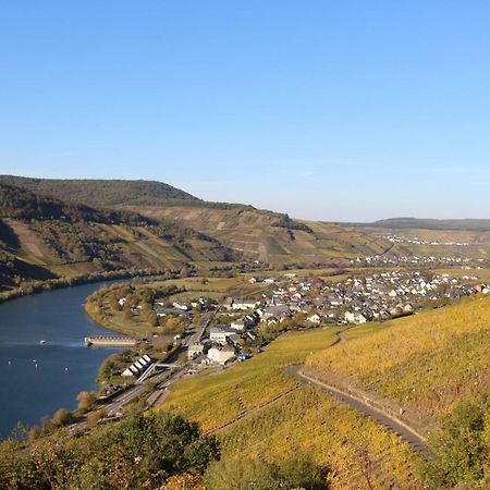 Ferienwohnung Flaemisches Weinhaus Wintrich Luaran gambar